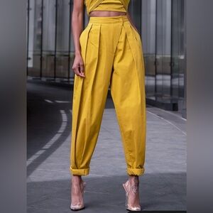 The Drop Sculpted Pleated Pants by SignedbyBlake